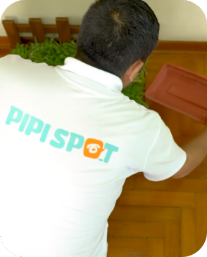 prueba 3